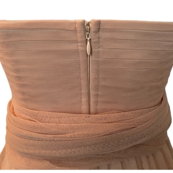 Birdy Grey Dress Womens Small Christina Pink Tulle Wedding Bridesmaid Formal - Picture 12 of 15